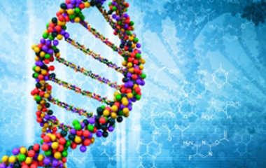 Se sabe de muchos compuestos que causan daños en el ADN cuando entran en el cuerpo de un organismo. Estos compuestos se llaman genotoxinas, debido a su efecto genotóxico. Normalmente, cuando los contaminantes dañan el ADN, un sistema natural de reparación en el organismo lo devolverá a su estado natural, pero cuando este sistema falla [&hellip;]