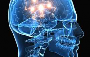 El sistema nervioso de los organismos es muy sensible a los ofectos tóxicos de los compuestos químicos tanto naturales como artificiales. Los compuestos químicos que causan efectos neurológicos se llaman neurotoxinas. Algunos ejemplos de neurotoxinas peligrosas son los insecticidas. Todas las neurotoxinas alteran la transmisión normal de impulsos nerviosos a lo largo de los nervios [&hellip;]