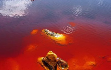 Los metales son buenos conductores de la electricidad y generalmente participan en las reaciiones químicas como iones positicos, conocidos como cationes. Los metales son sustancias naturales que se han formado por meteorización de minerales, allí donde fueron depositados durante la actividad volcánica. Pueden ser vueltos a poner en situación de causar serios peligros medioambientales. Algunos [&hellip;]