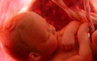 Los contaminantes que producen fallos en la reproducción debidos al daño en los órganos reproductores se llaman alteradores endocrinos. Hay diversos maneras en las que un contaminante puede actuar como alterador endocrino. La primera es un compuesto químico estrógeno. Esto es un compuesto químico que imita a un estrógeno uniéndose al receptor del estrógeno. Esto [&hellip;]